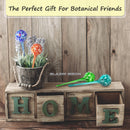 Watering Globes for plants