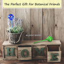 Watering Globes for plants