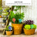 Watering Globes for plants