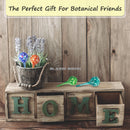 Watering Globes for plants