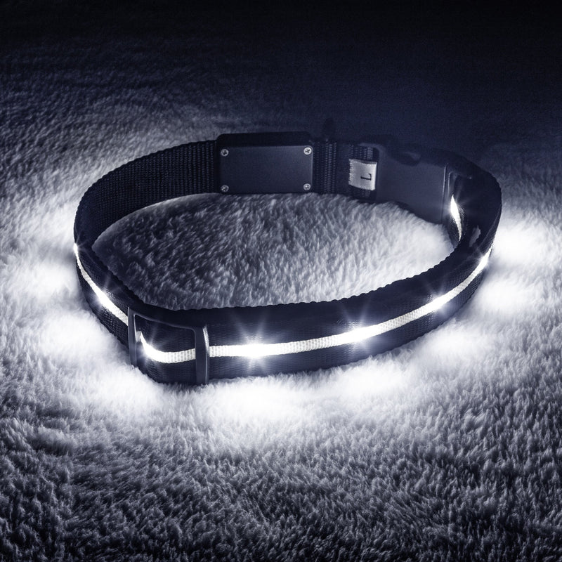 Black LED Dog Collar