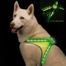 Blazin Safety LED Dog Harness