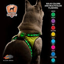 Blazin Safety LED Dog Harness