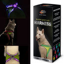Blazin Safety LED Dog Harness