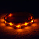 Orange LED Dog Collar