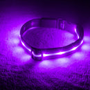 Purple LED Dog Collar