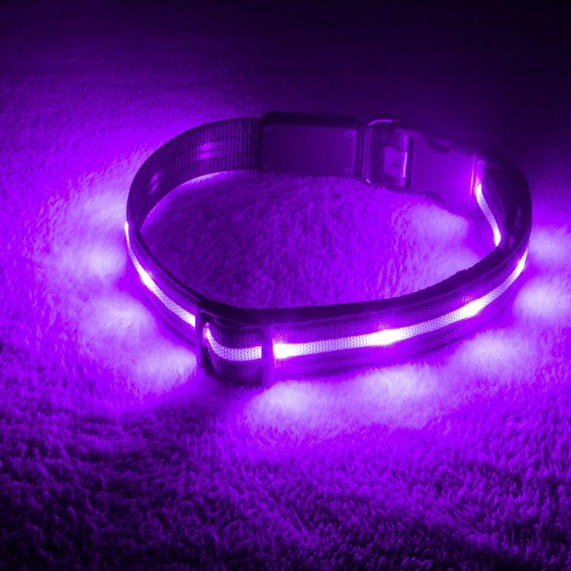 Purple LED Dog Collar